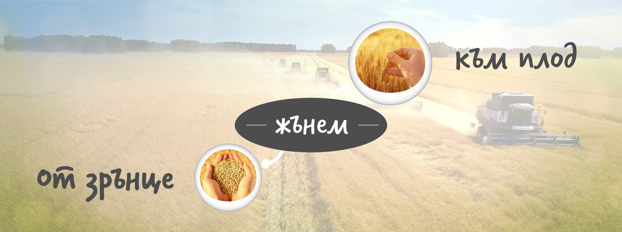 Жънем