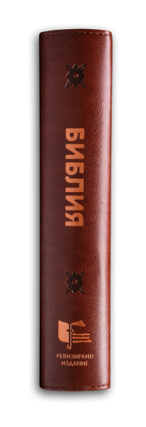Bible (grand format, bordeaux perle)