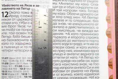 Bible (grand format, bordeaux perle)