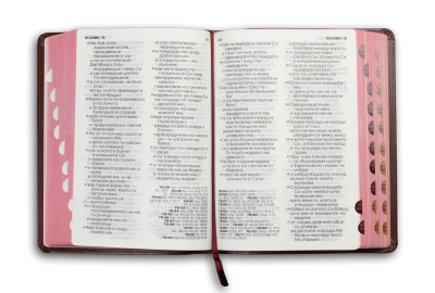 Bible (grand format, bordeaux perle)