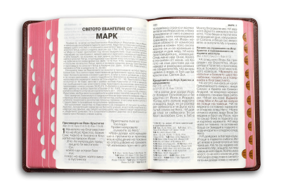 Bible (grand format, bordeaux perle)