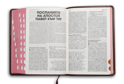 Bible (grand format, bordeaux perle)