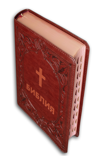 Bible (grand format, bordeaux perle)