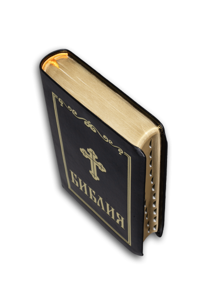 Biblia (formato pequeño, burdeos)