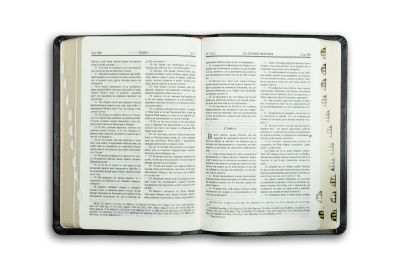 Biblia (formato pequeño, burdeos)